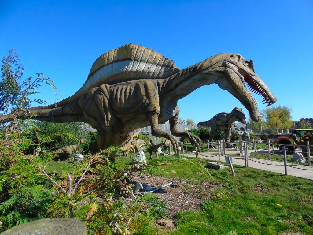 Wingham-Wildlife-Park