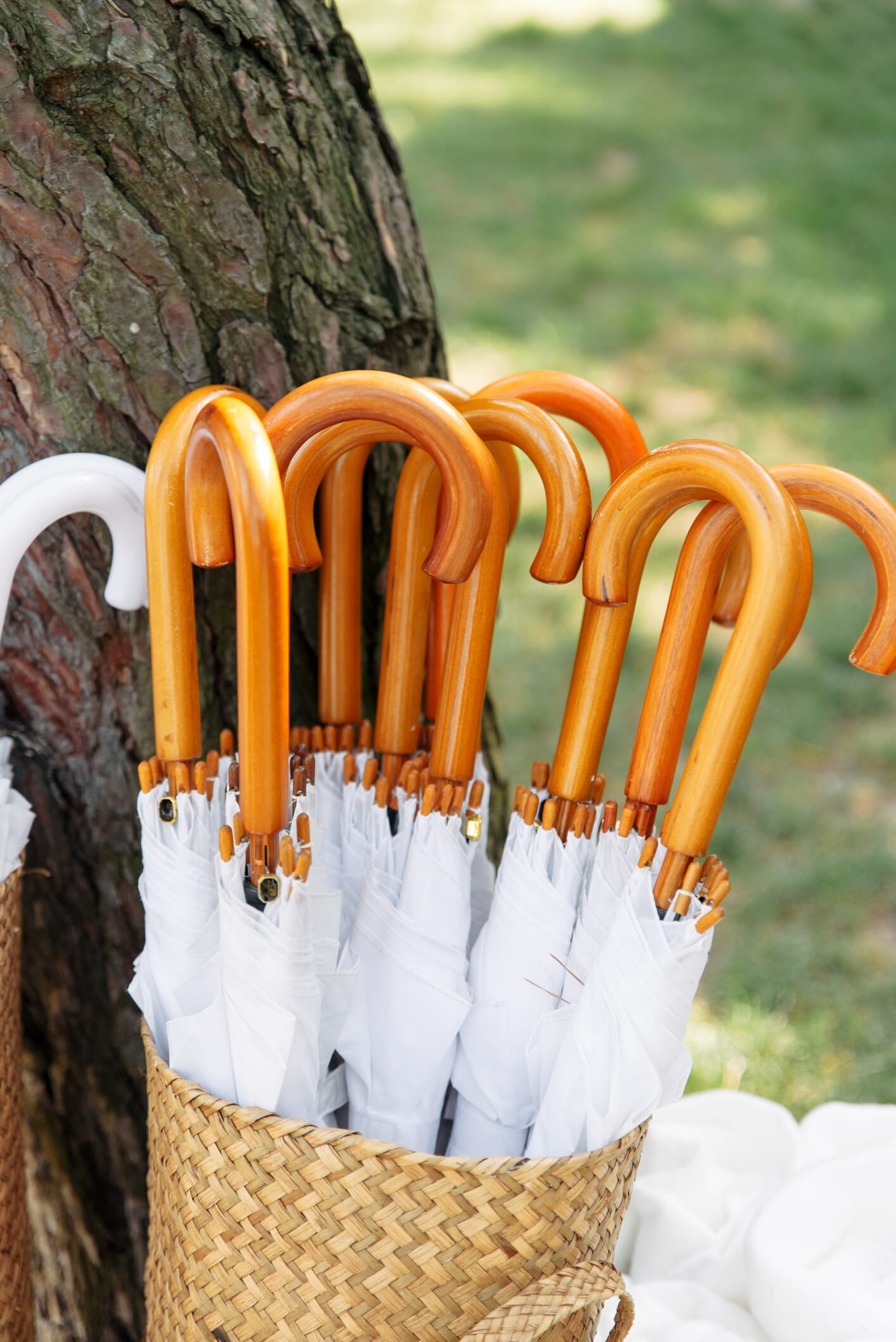 A basket of brollies at Solton Manor in Dover